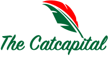 The Cat Capital